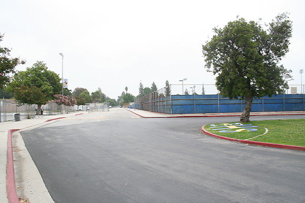 IMG 0175