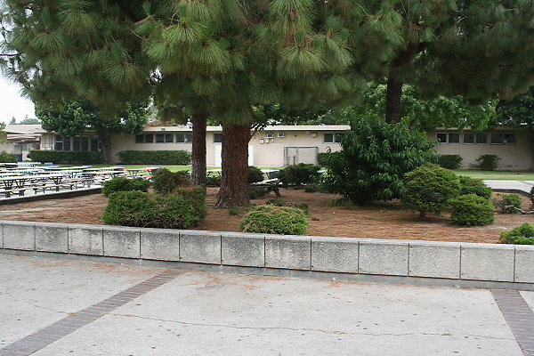 IMG 0128
