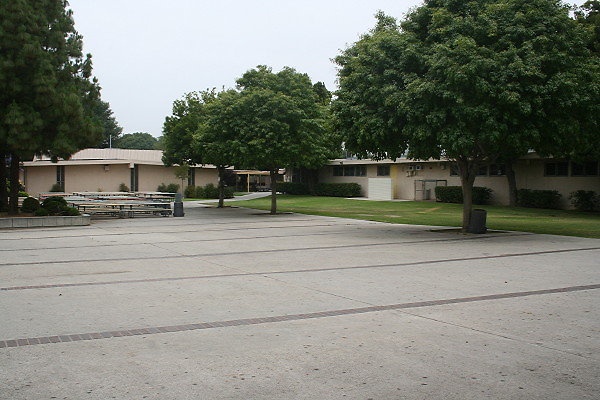 IMG 0136