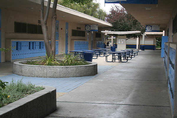 IMG 0121