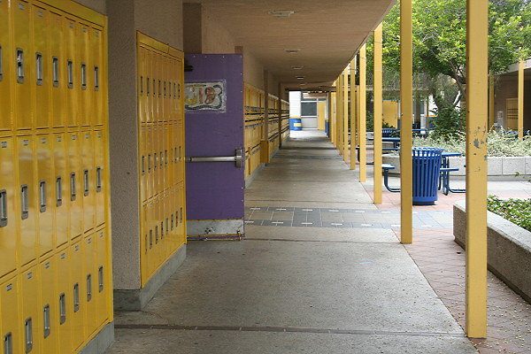 IMG 0131