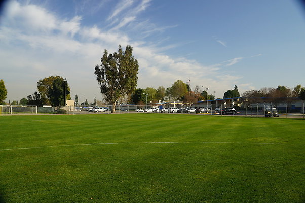 DSC05381