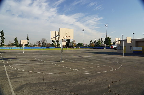 DSC05313