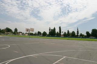IMG 0223