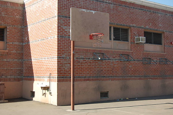 DSC 0131