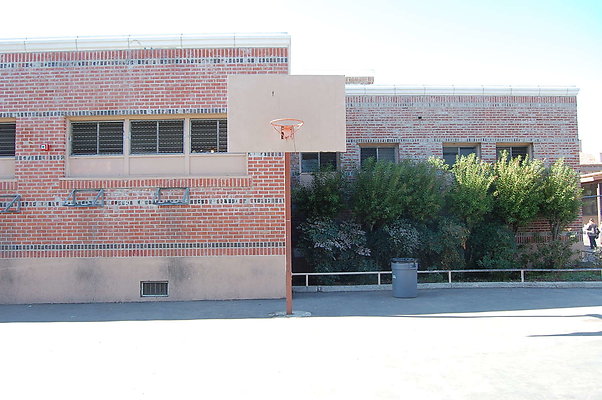 DSC 0127a