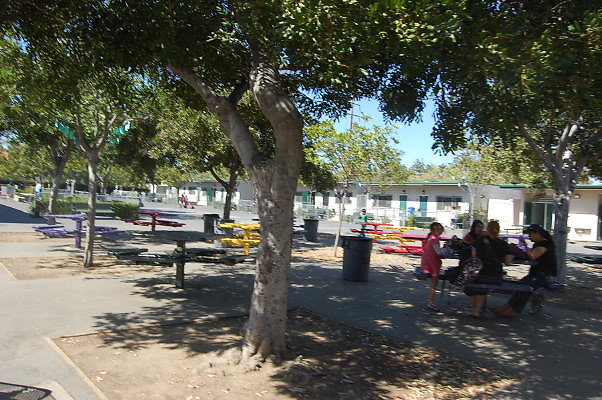 DSC 0129