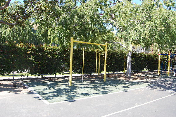 DSC 0146