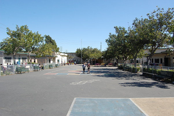 DSC 0131