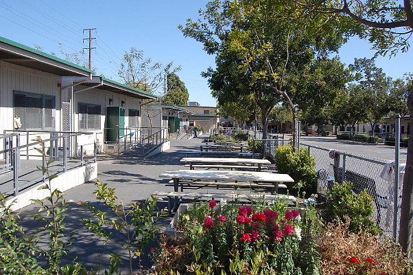DSC 0161
