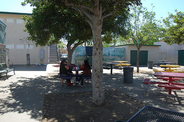 DSC 0183