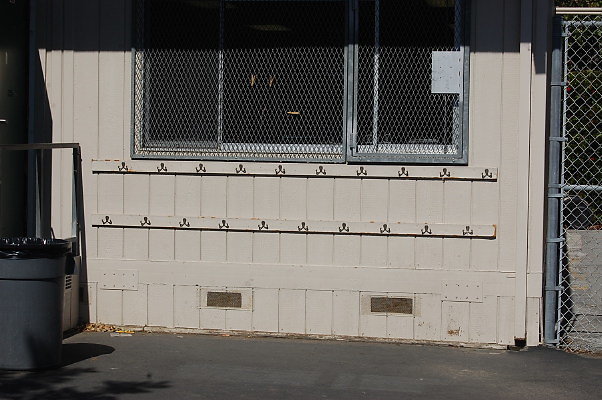 DSC 0175