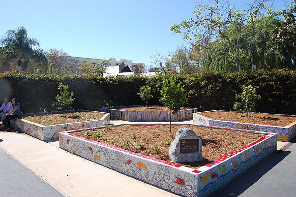 DSC 0145