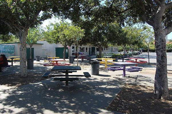 DSC 0180
