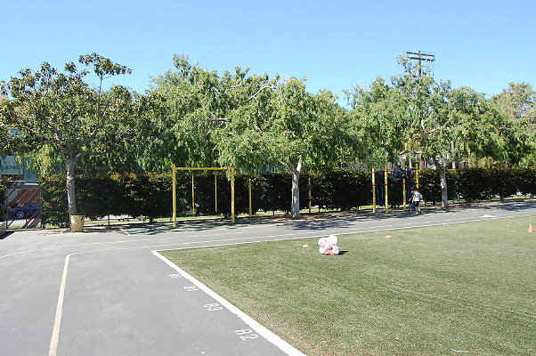 DSC 0142
