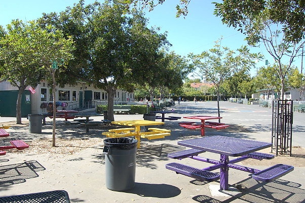 DSC 0184