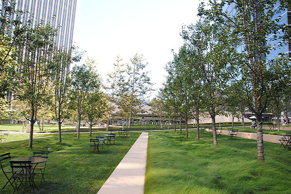 DSC 0064