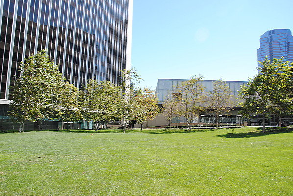 DSC 0106