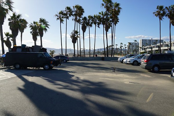 Rose Lot South