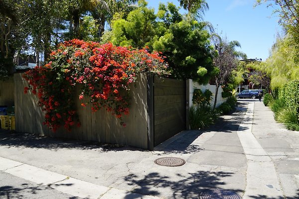 1200Navarre 09 1200Navarre 09