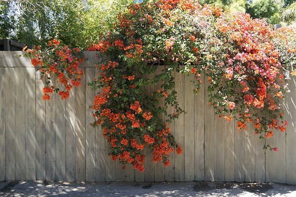 1200Navarre 12 1200Navarre 12