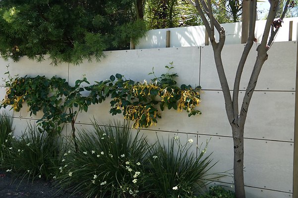 1200Navarre 06 1200Navarre 06