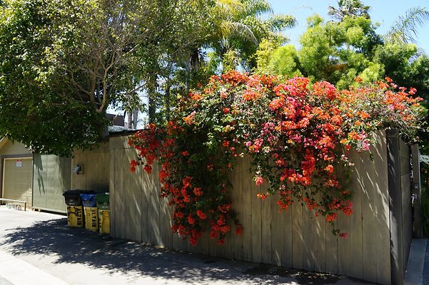 1200Navarre 11 1200Navarre 11