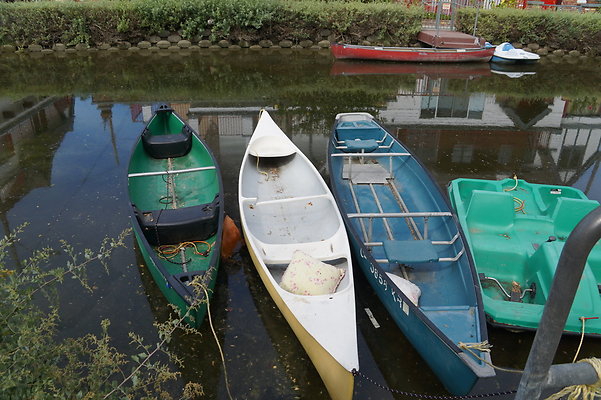 DSC05702