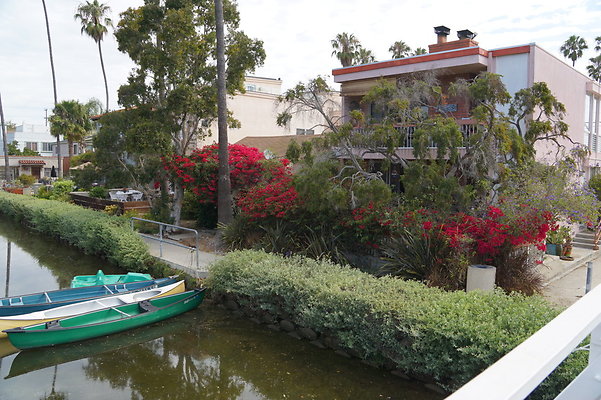 DSC05709