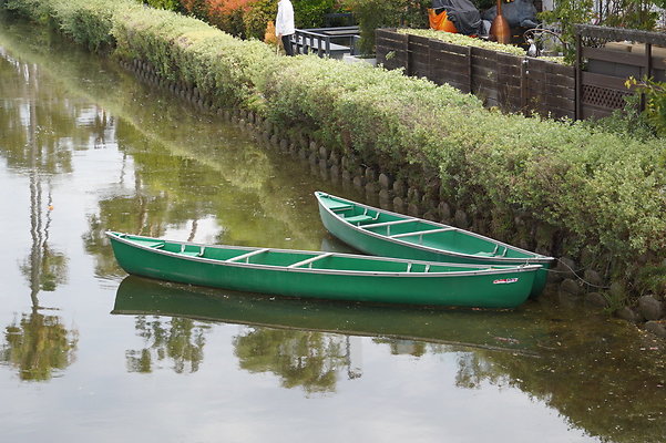 DSC05677