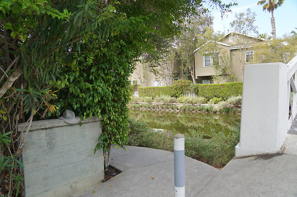 DSC05664