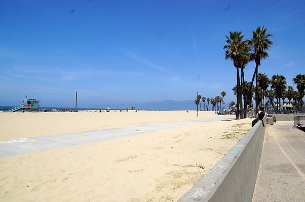 DSC06515
