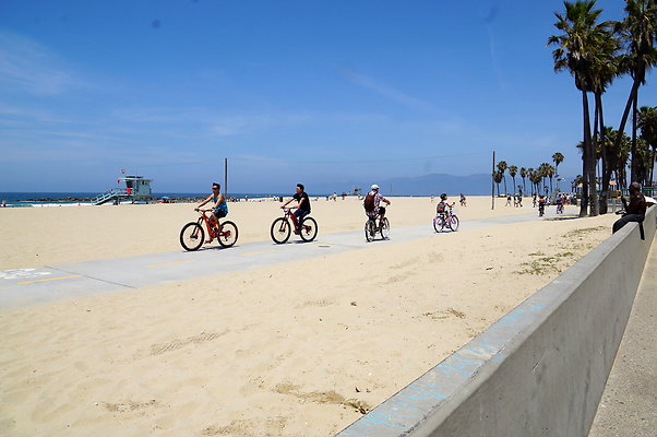 DSC06520