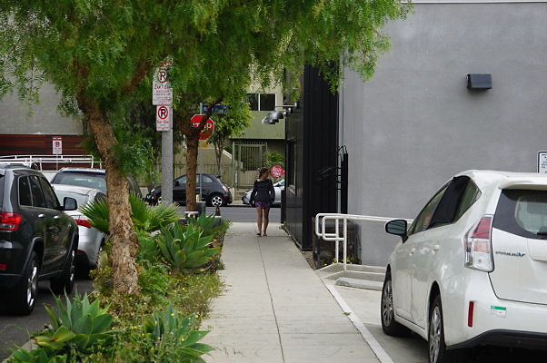 Dimmick.Ave.No.Rose.13