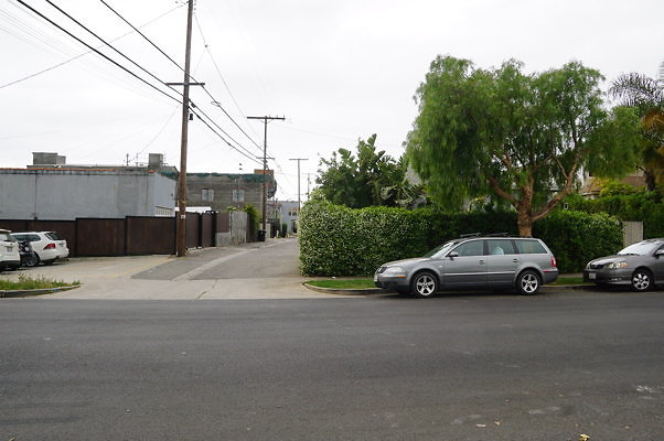 Dimmick.Ave.No.Rose.21