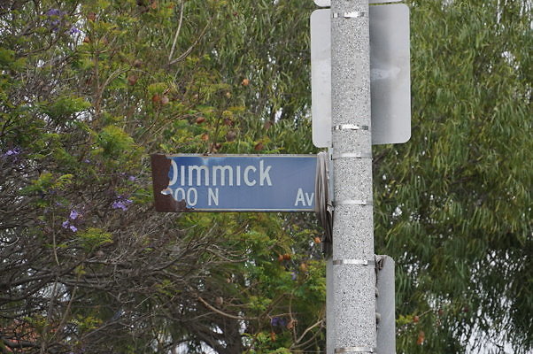 Dimmick.Ave.No.Rose.101