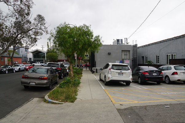 Dimmick.Ave.No.Rose.12