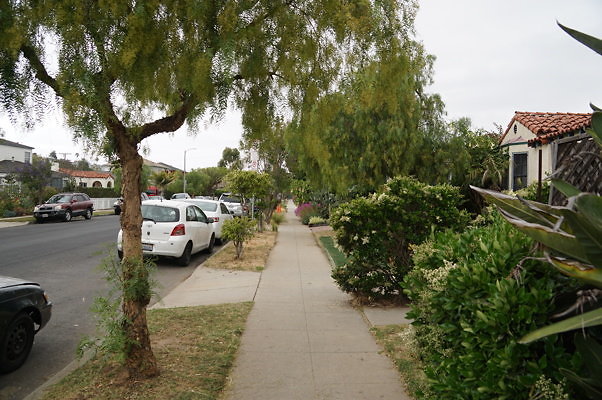 Dimmick.Ave.No.Rose.30