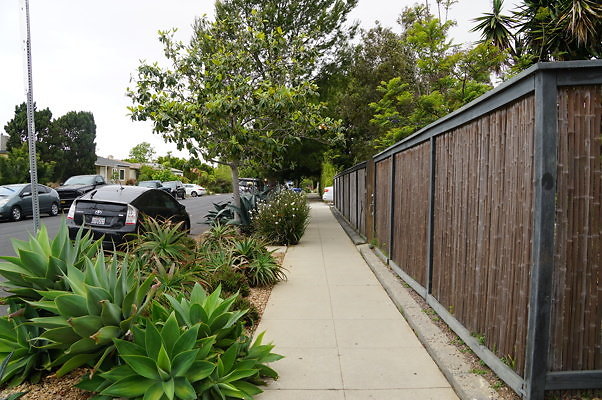 6th.Ave,N.Rose.13