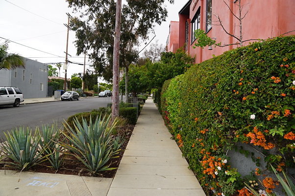 6th.Ave,N.Rose.31
