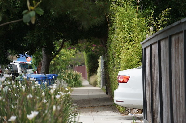 6th.Ave,N.Rose.15