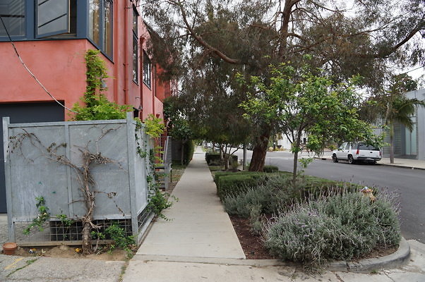 6th.Ave,N.Rose.16