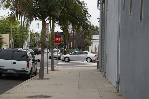 6th.Ave,N.Rose.08