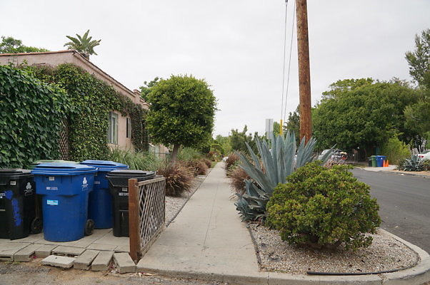6th.Ave,N.Rose.04
