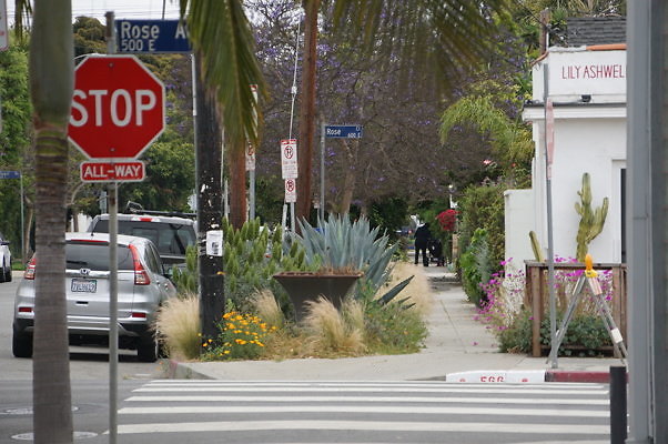 6th.Ave,N.Rose.09