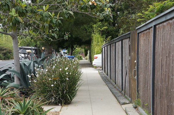 6th.Ave,N.Rose.14