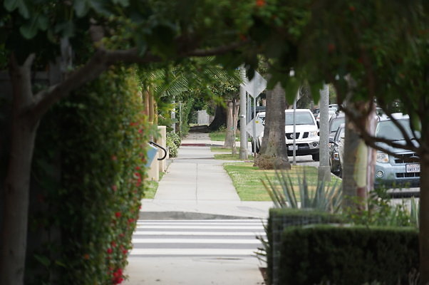 6th.Ave,N.Rose.18