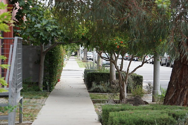 6th.Ave,N.Rose.17