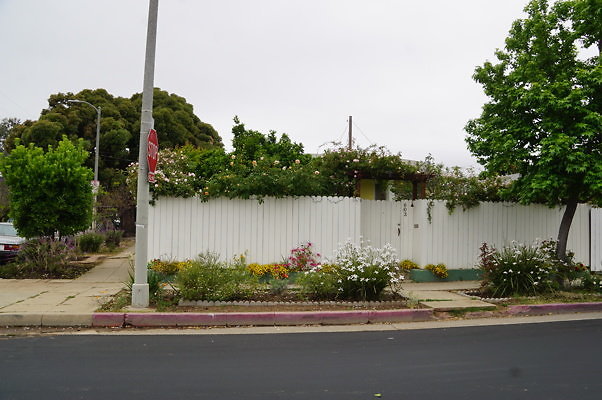Rennie.Ave.So.Rose.186