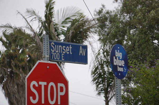 Rennie.Ave.So.Rose.190